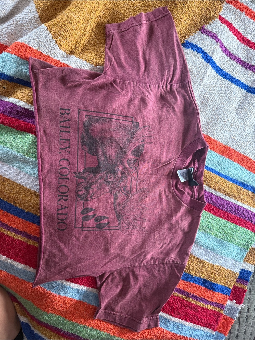 Vintage Colorado Crop Tee